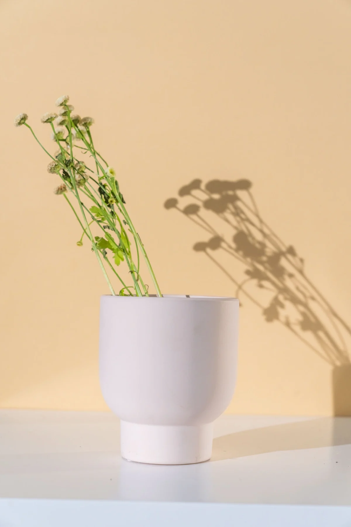 BLOEMPOT YING CEM MIX S ASS3 - Image 2