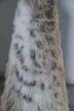 Coffee table - Image 2