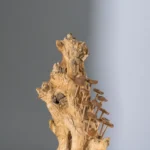 Sculpture bois 16  24*18*42 cm