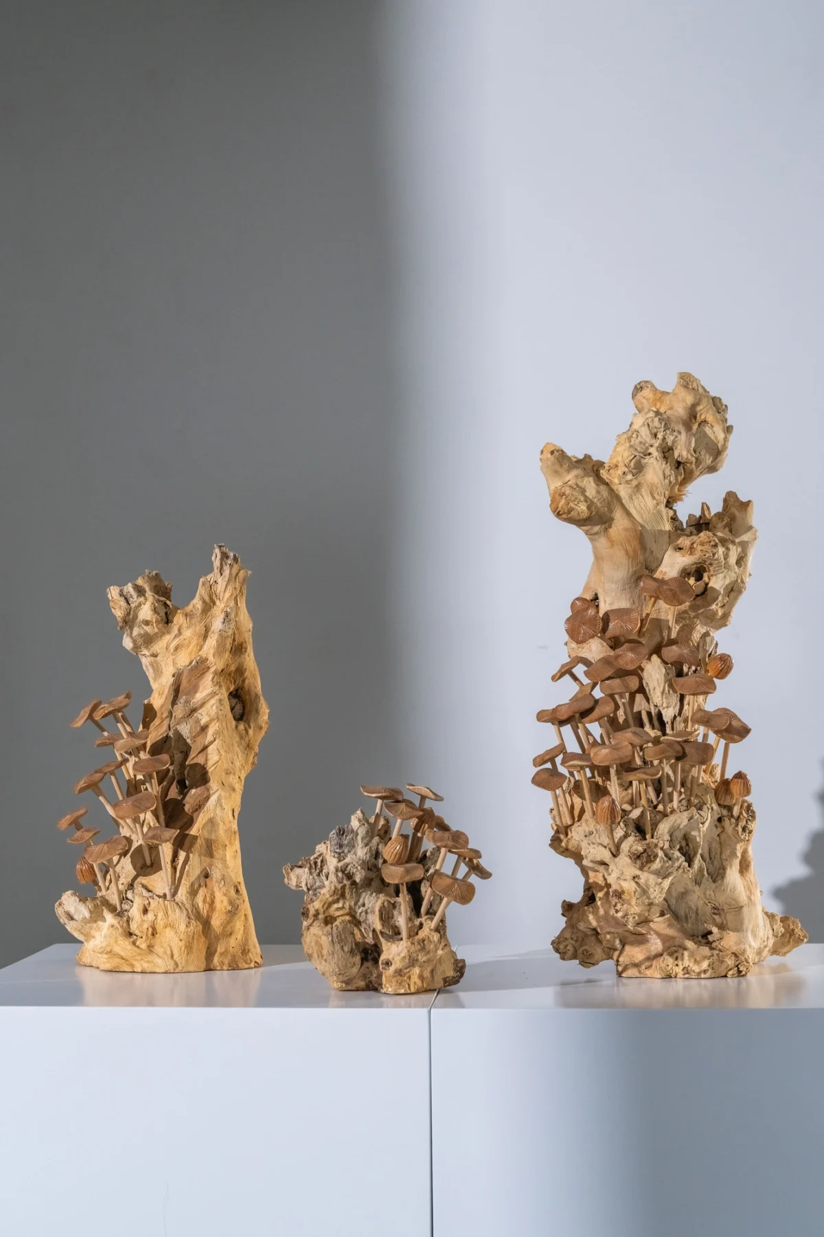 Sculpture bois 17 - Image 3