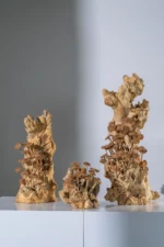 Sculpture bois 17 - Image 2