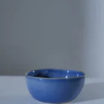 Set of 4 medium bowls blue colors