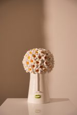 PLUMERIA MEDIUM  22*22*32 cm
BOX ORNAMENTAL