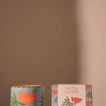 Adopo 8 oz./226g Flower Ceramic Candle -8x8x9cm
Cactus Flower Boxed