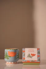 Adopo 8 oz./226g Flower Ceramic Candle -8x8x9cm
Cactus Flower Boxed