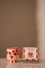 A Dopo 8oz/226g Tomato Vine Ceramic Candle - 8x8x9 cm
Heirloom Tomato