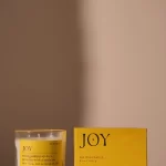 Mood Candle 8 oz./226g Joy - Misted Lime 8x8x9 cm