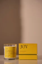 Mood Candle 8 oz./226g Joy - Misted Lime 8x8x9 cm