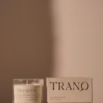 Mood Candle 8 oz./226g Tranquil - Lush Palms