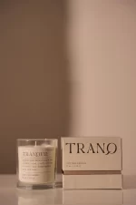 Mood Candle 8 oz./226g Tranquil - Lush Palms