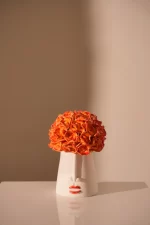 La ROSA IN ARANCIO , SCATOLA PICCOLA LITTLE
ROSA IN ARANCIO , SCATOLA PICCOLA , THE
ROSE IN ORANGE LITTLE BOX