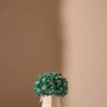 L'IRIS , SCATOLA PICCOLA , IRIS IN GREEN LITTLE
BOX