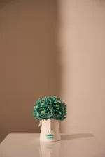 L'IRIS , SCATOLA PICCOLA , IRIS IN GREEN LITTLE
BOX